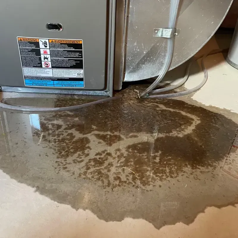 Appliance Leak Cleanup in Galveston County, TX